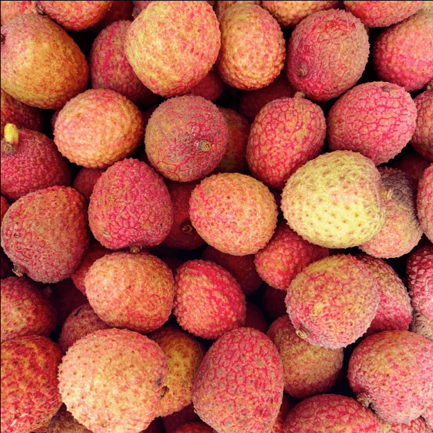 Litchi